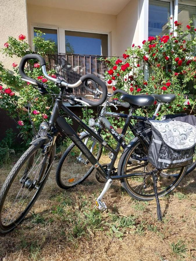 La Rosa Leilighet Gdańsk Eksteriør bilde